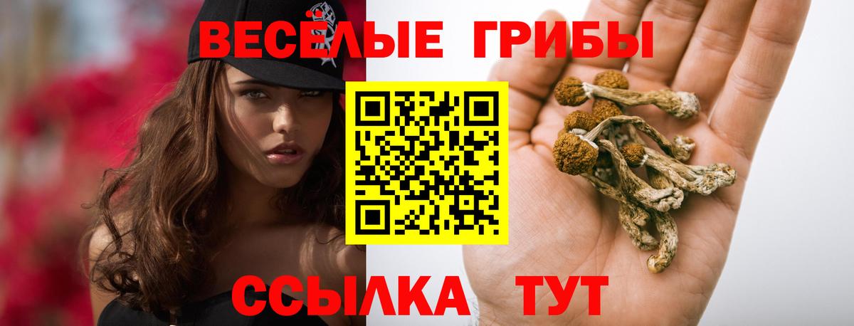 Тула  Псилоцибиновые грибы Magic Shrooms  Вход с VPN 
